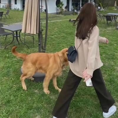 宇崎酱想要玩耍第二季