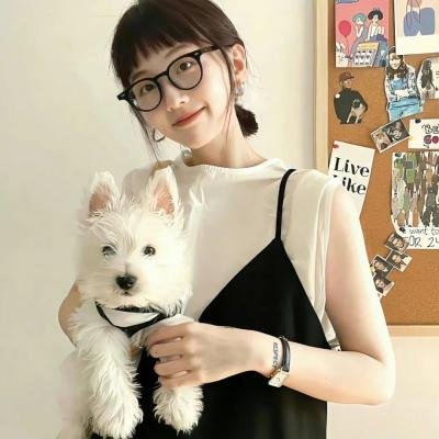 追债大乱斗